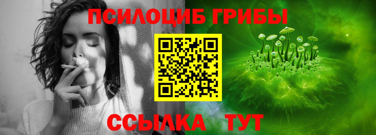 Галлюциногенные грибы Psilocybe  Вход с VPN  Павлово 